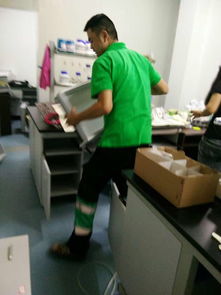 什么能除甲醛 武漢高效的花與葉環(huán)保專業(yè)室內治理哪里有