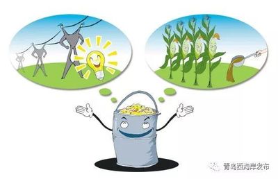 餐廚垃圾、大件垃圾如何處理?小宣來支招!(附垃圾清運(yùn)熱線)_社會