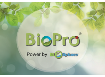 綠色創新 環保科技引領可持續發展之路